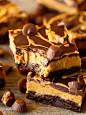Chocolate peanut butter brownie bars