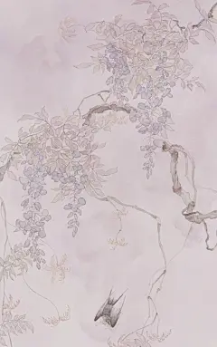 紫藤萝瀑布，并两只小燕 - 小红书