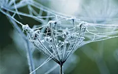 雪人、冰城、雪景（壁纸）