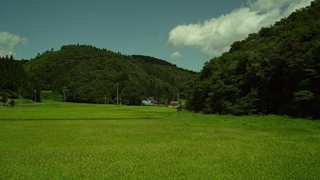 小森林.夏秋篇.Little.Fores...