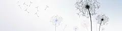 蒲公英淡蓝色banner背景图 页面网页 平面电商 创意素材