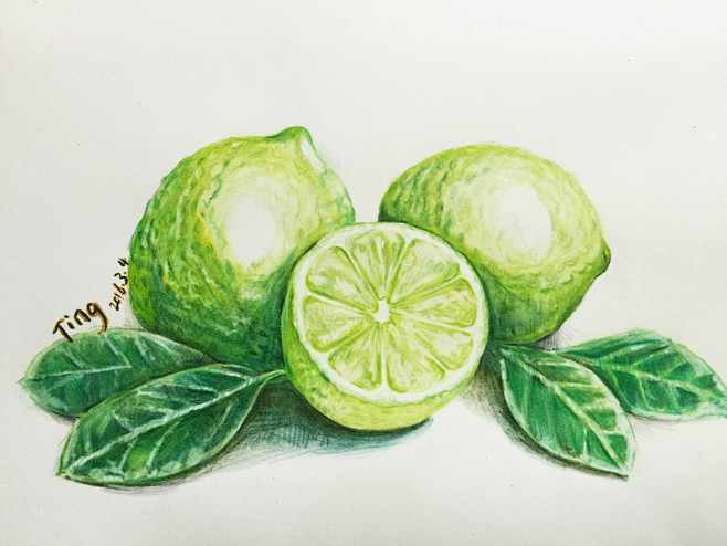 彩铅水果（青柠）