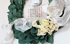 2010年10月花卉宽月历壁纸桌面壁纸1