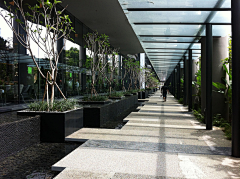 Nico·CC采集到新加坡皮克林宾乐雅酒店