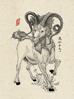 989898青争采集到线描