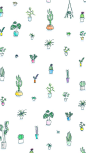 illustration | cactus + succulents wallpaper: