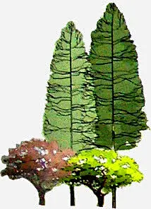 清新春日乔木手绘_新图网 https://www.ixintu.com