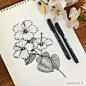 植物花卉针管笔怎么画? 这组素材给你答案 简单又好看_www.youyix.com