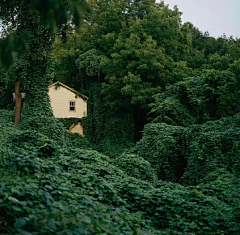 狐狸水晶糖采集到静