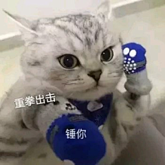 子轩œ采集到摸鱼-表情包