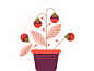 种植几何最小的纹理例证充满活力的颜色自然叶子罐莓果花植物