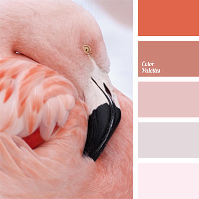 Color Palette #288 |...