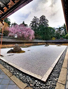 冰雪心晴采集到禅意庭院