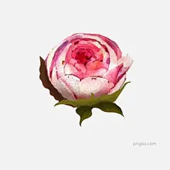 手绘水彩月季花植物可商用元素图片大小2000x2000px 图片尺寸342.32 KB 来自PNG搜索网 pngss.com 免费免扣png素材下载！AI#AI花朵#花朵#花卉#玫瑰花#矢量花朵#手绘花朵#水彩花朵#月季花#植物素#装饰图案#