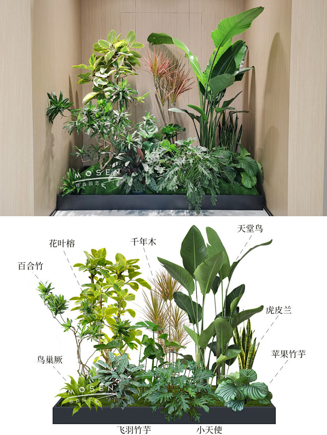 学校绿植造景，好用到哭的神仙级选择