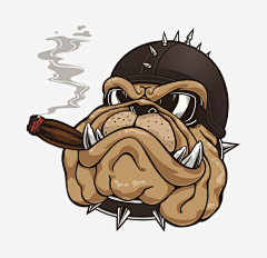 番茄阿三采集到狗