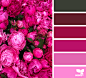 Design Seeds : Design Seeds color palettes ... posted daily for all who love color.