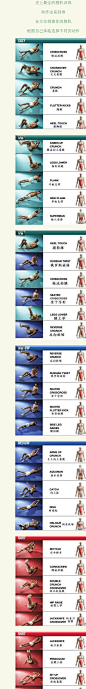 [学院派]史上最全的腹肌训练，附解剖图谱。  