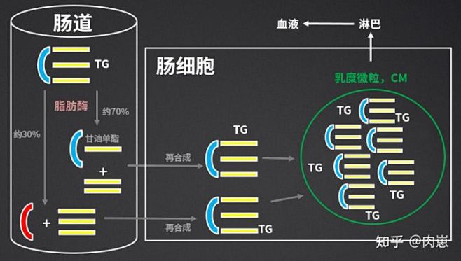 (68 封私信 / 80 条消息) 人到...