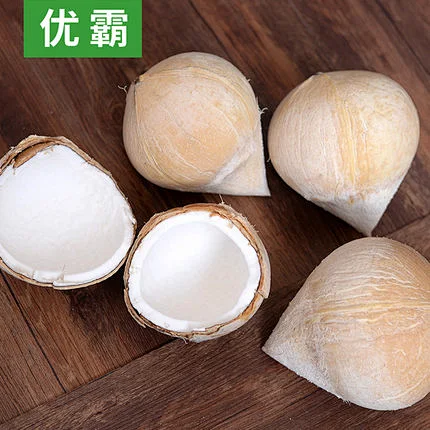 【优霸】泰国椰皇 4个 进口椰子去皮椰子椰青进口椰子水新鲜水果图片_椰皇图片素材-花瓣网