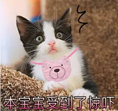 QQ截图20170417132037