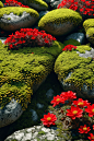 00404-798454430-hyperdetailed photography,Photographic photo,Hyperrealism,cinematic,realistic,4K,the rocks were covered with moss,there are a lo