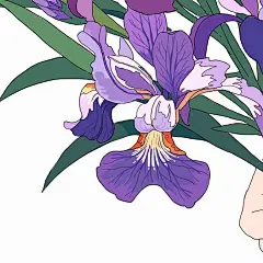 mochipanko商业插画动漫人物花卉场景 (312)