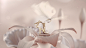 jewels rosato pink lab81 3D video Directed (9)