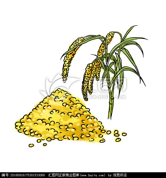 小米谷子插画杂粮