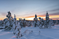 General 5142x3428 landscape snow pine trees