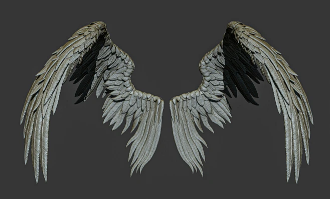 Wings-花瓣网