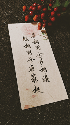 流星闪过的瞬间采集到只言片语