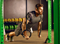 Nufit Corp. / Global Marketing Campaign : We had the privilege this year work on the global marketing campaign for a Los Angeles based company called Nufit Corp. They tried the impossible by reinventing the traditional dumbbells and they succeeded. They h