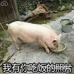 心不跳采集到表情包/趣味动图