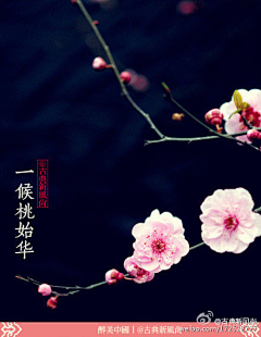 夏至蓝采集到古风