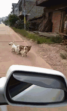 _south采集到GIF