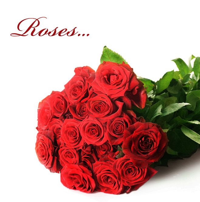 高清晰红色玫瑰花素材壁纸-红花配绿叶--...
