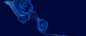 蓝色,玫瑰,丝绸,海报banner,大气图库,png图片,网,图片素材,背景素材,3714083@北坤人素材