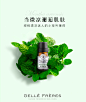 婕珞芙薄荷精油10ml 提神醒脑收缩毛孔植物 单方熏香去黑头精油-tmall.com天猫