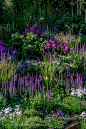 Shade of Purple