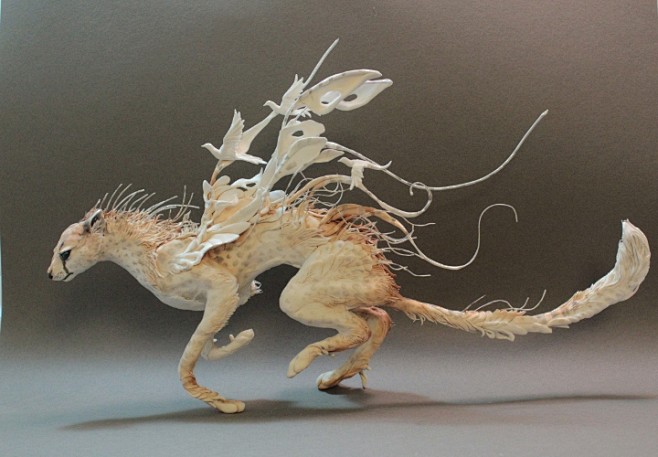 Swift Cat by creatur...