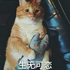 修钛采集到気持ち