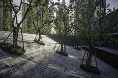 咩嘢-XXX-采集到示范区-展示区