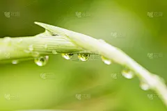 滴水