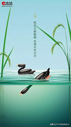 Avatar自己都害怕采集到节日
