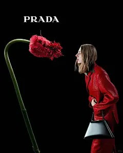 家人们壁纸上新了_1_一颗红豆_来自小红书网页版 (1)