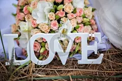 在白色的树木、 花卉的爱字