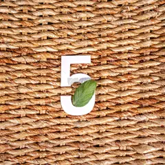 数字,数字5,插画,白色,自然,周年纪念,柳条,环境保护,图像,现代