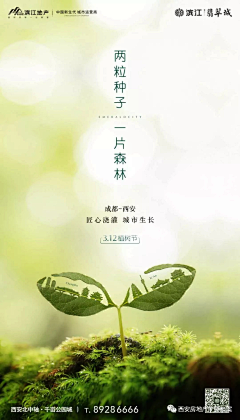 /tyfcc1744采集到植树节