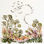 艺术家 Bridget Collins ​​​​的鲜花创作  |  www.floraforager.com
